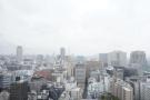 Brillia THE TOWER TOKYO YAESU AVENUE～ブリリアザタワー東京八重洲アべニュー～2603